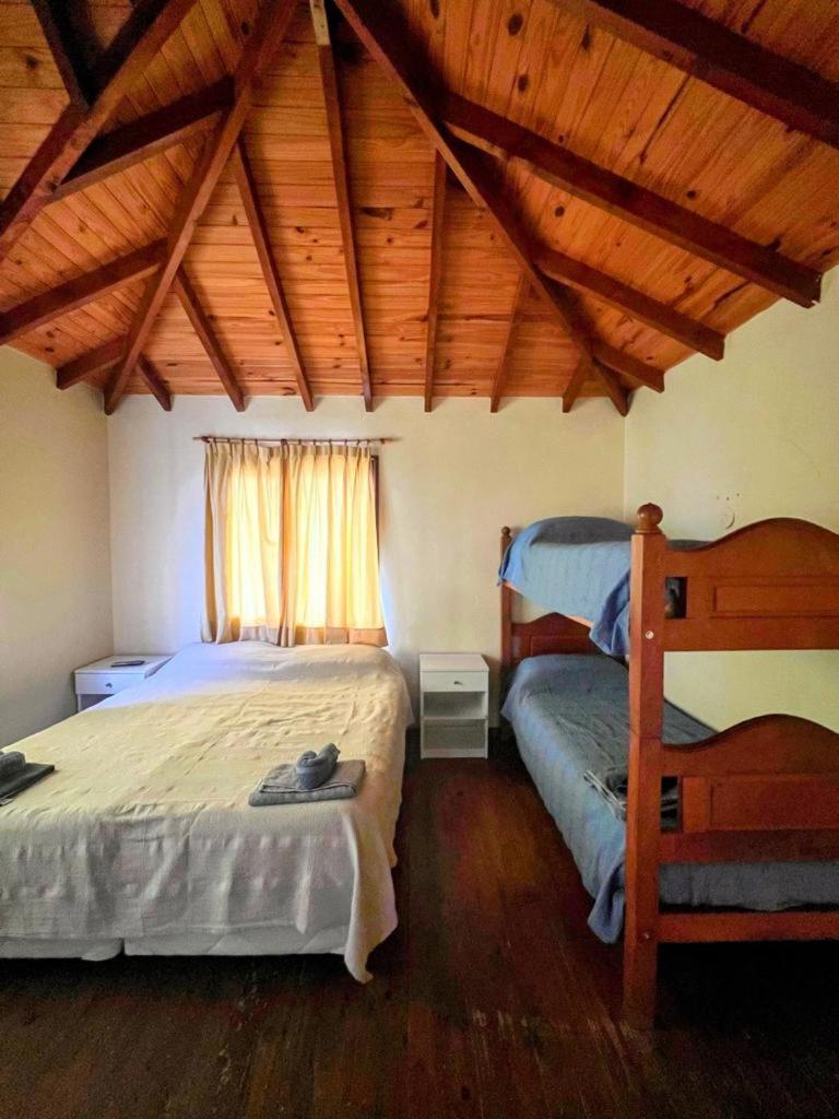 Apartment Calida