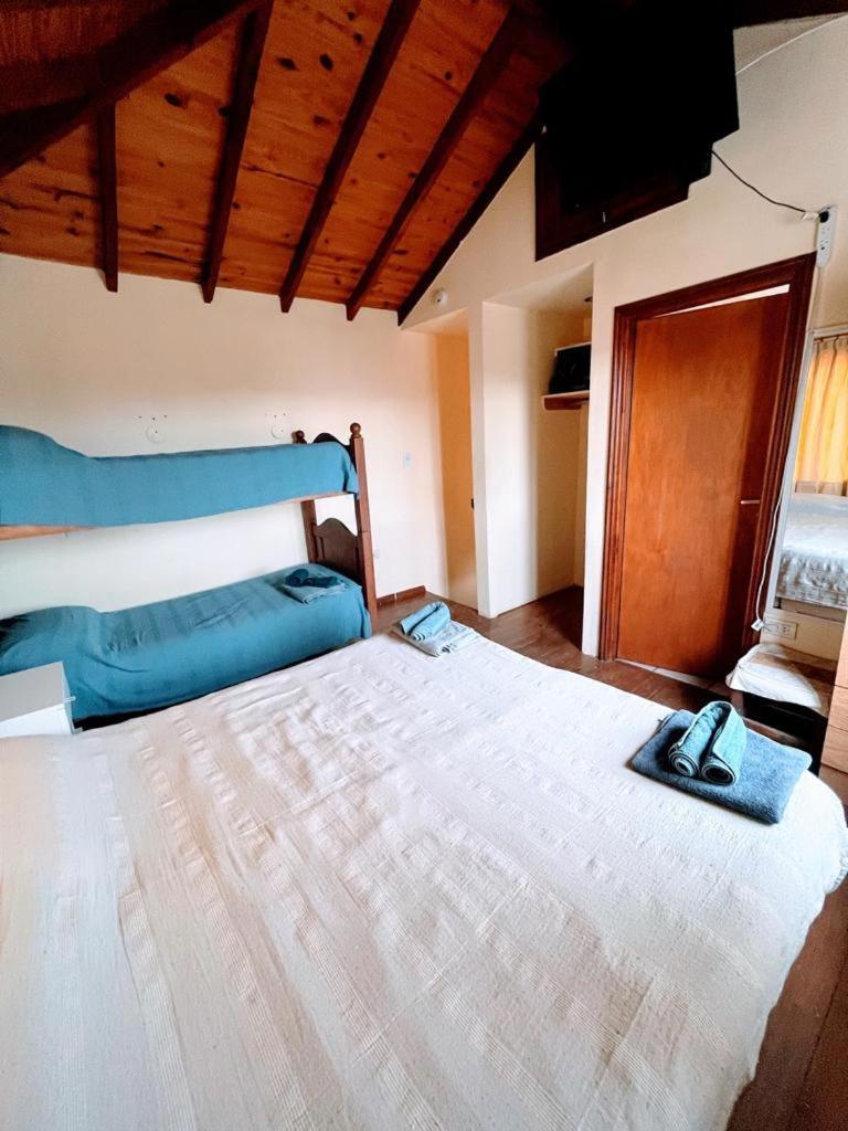 Apartment Calida